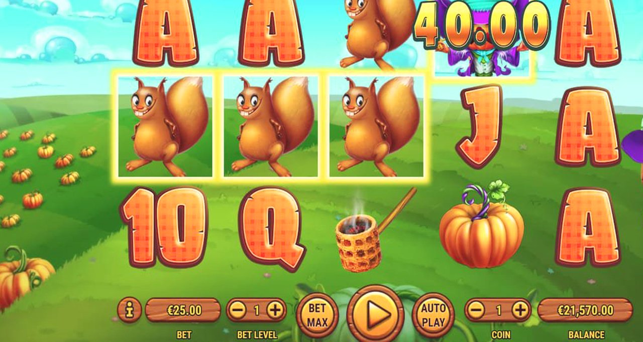 Pumpkin Patch · Giao diện ứng dụng MU88