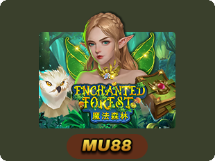 Enchanted Forest